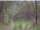 82 Grandview Rd, Tabulam NSW 2469