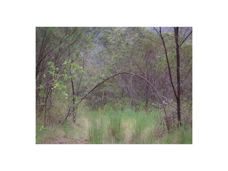 82 Grandview Rd, Tabulam NSW 2469