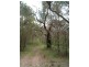82 Grandview Rd, Tabulam NSW 2469
