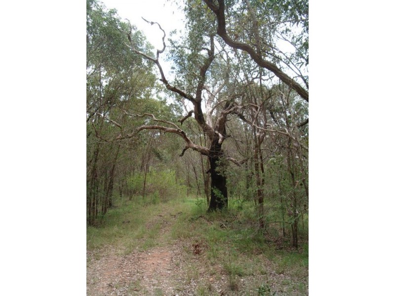 82 Grandview Rd, Tabulam NSW 2469