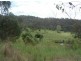 82 Grandview Rd, Tabulam NSW 2469
