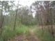 82 Grandview Rd, Tabulam NSW 2469