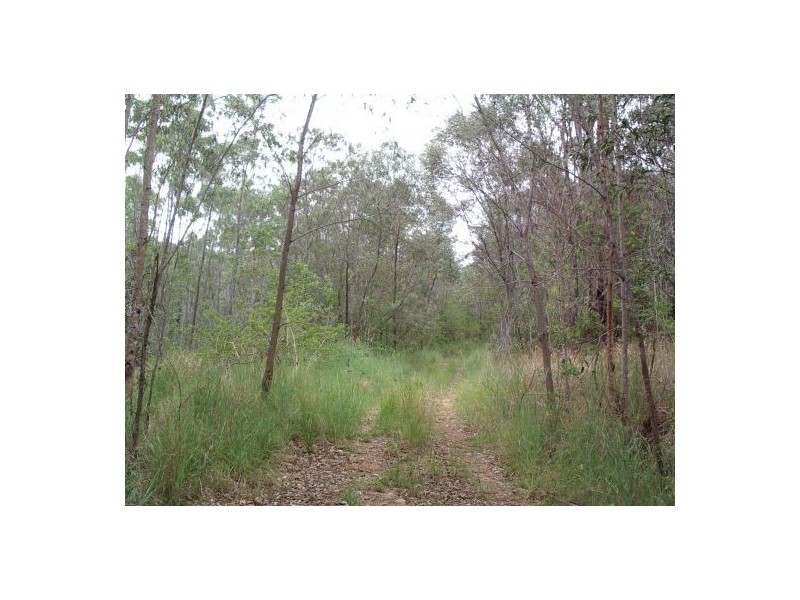 82 Grandview Rd, Tabulam NSW 2469