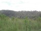 82 Grandview Rd, Tabulam NSW 2469