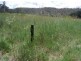 82 Grandview Rd, Tabulam NSW 2469
