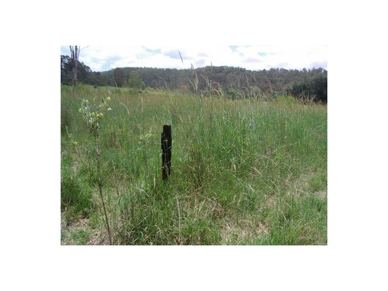 82 Grandview Rd, Tabulam NSW 2469