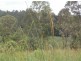 82 Grandview Rd, Tabulam NSW 2469