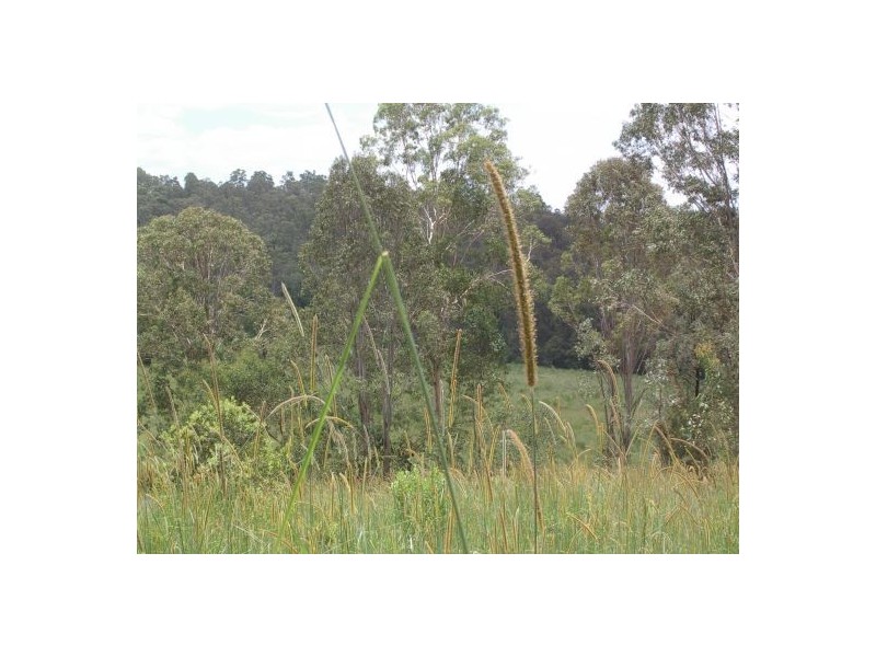 82 Grandview Rd, Tabulam NSW 2469