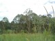 82 Grandview Rd, Tabulam NSW 2469