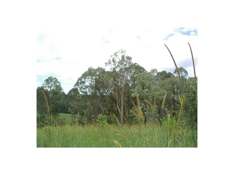82 Grandview Rd, Tabulam NSW 2469
