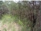 82 Grandview Rd, Tabulam NSW 2469