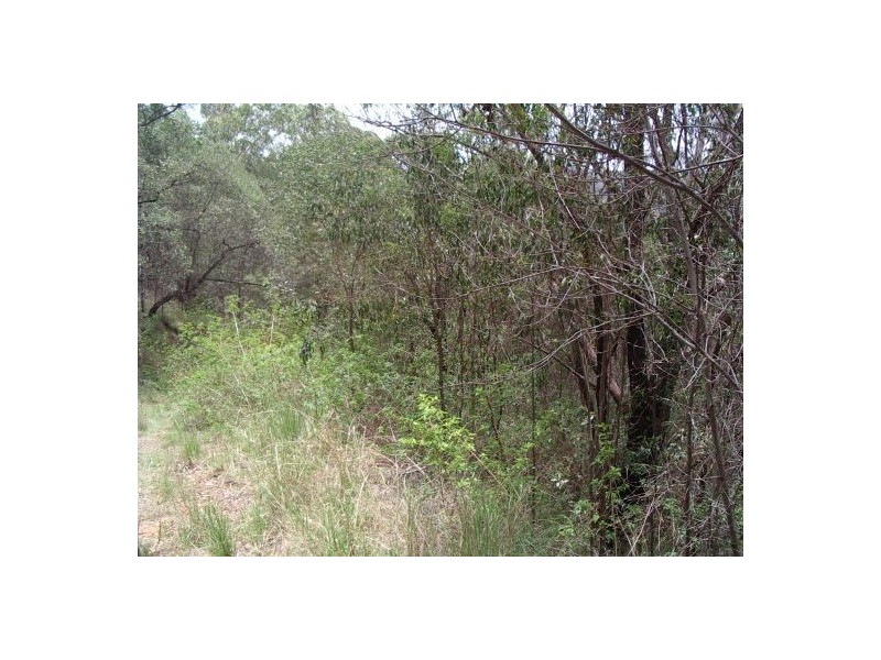 82 Grandview Rd, Tabulam NSW 2469