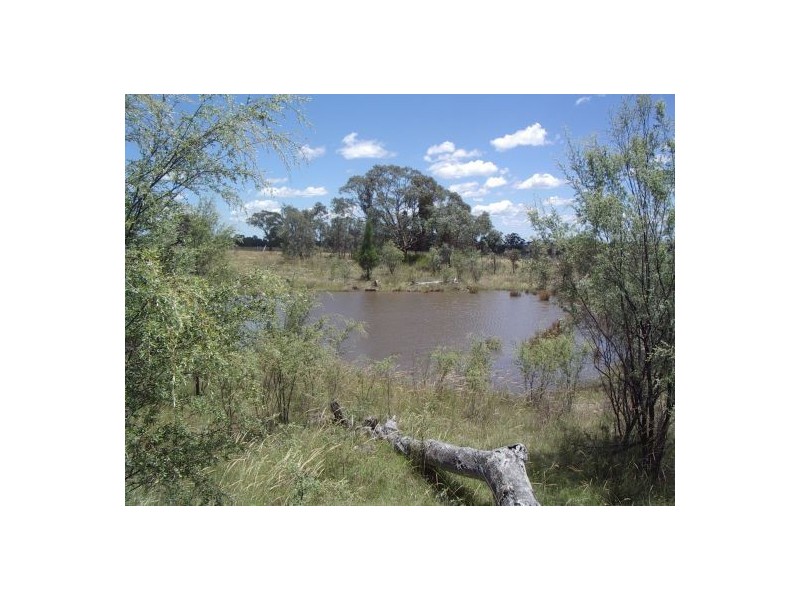 Lot 2 Binghi Rd, Tenterfield NSW 2372