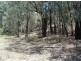 Lot 2 Binghi Rd, Tenterfield NSW 2372