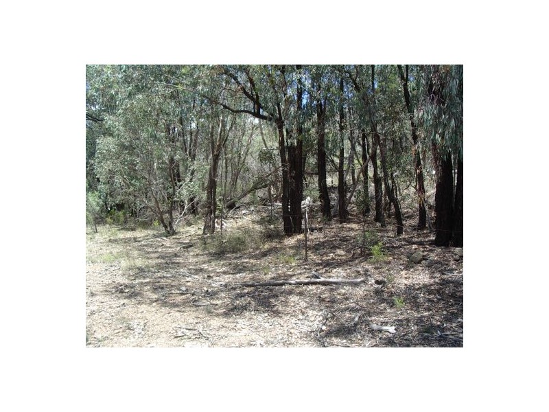 Lot 2 Binghi Rd, Tenterfield NSW 2372