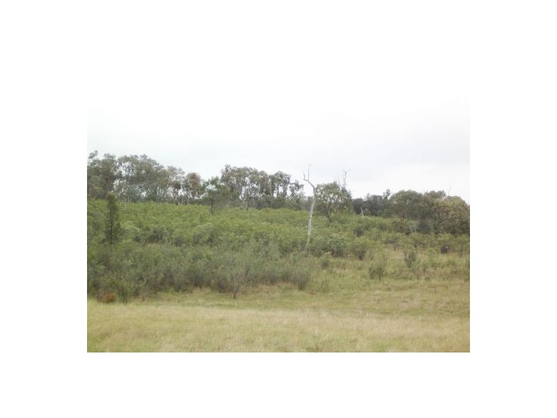 Lot 2 Binghi Rd, Tenterfield NSW 2372
