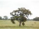 Lot 2 Binghi Rd, Tenterfield NSW 2372