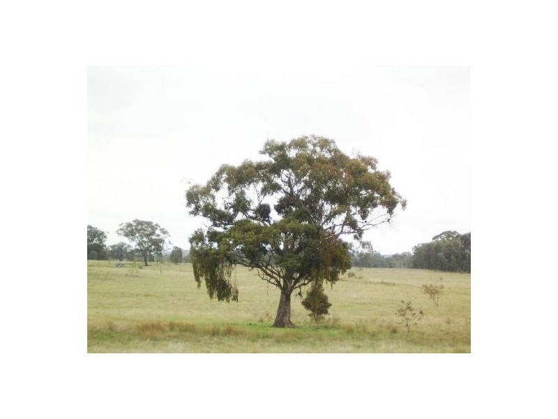 Lot 2 Binghi Rd, Tenterfield NSW 2372