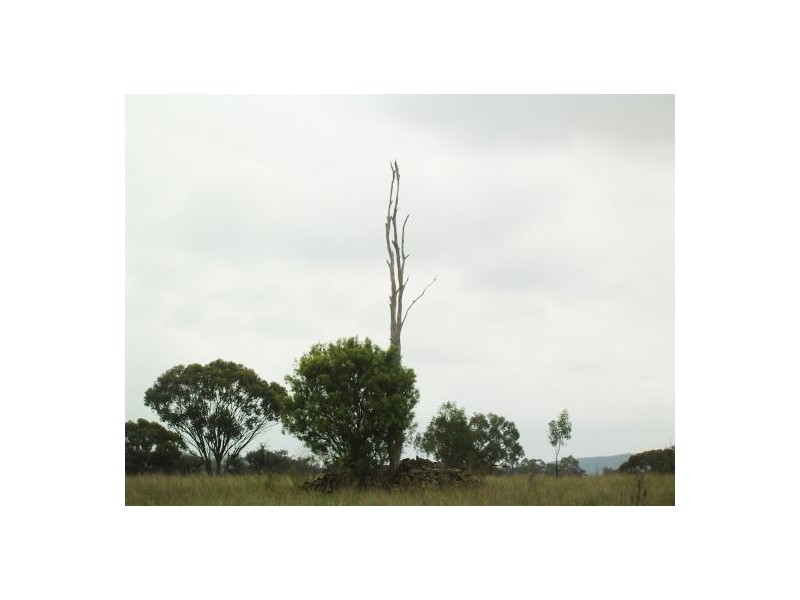 Lot 2 Binghi Rd, Tenterfield NSW 2372