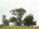 Lot 2 Binghi Rd, Tenterfield NSW 2372