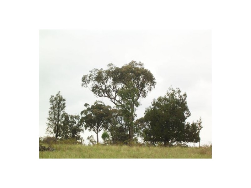 Lot 2 Binghi Rd, Tenterfield NSW 2372
