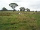 Lot 2 Binghi Rd, Tenterfield NSW 2372