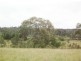Lot 2 Binghi Rd, Tenterfield NSW 2372