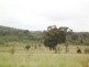 Lot 2 Binghi Rd, Tenterfield NSW 2372