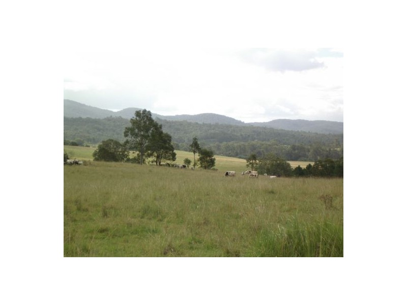 1736 Plains Station Rd, Tabulam NSW 2469