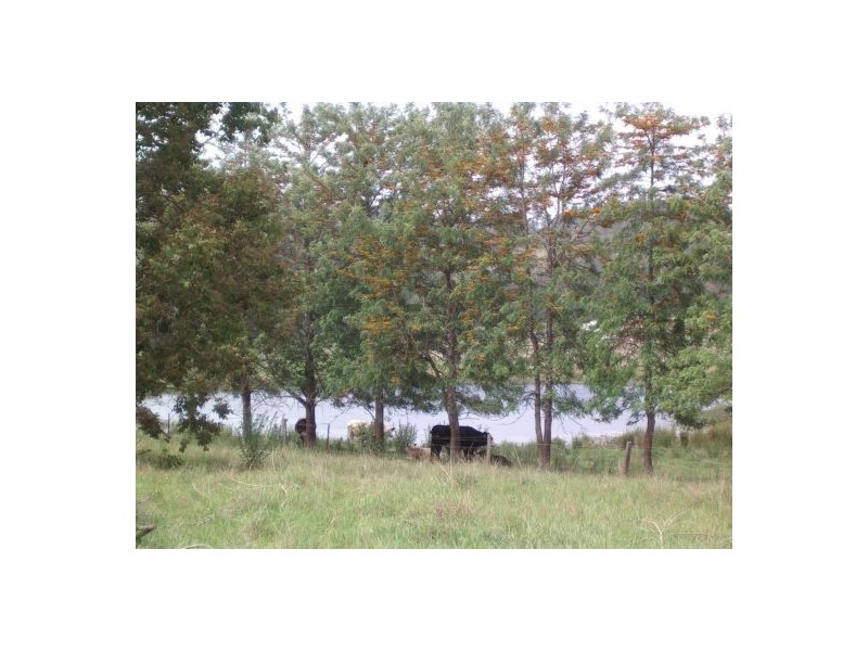 1736 Plains Station Rd, Tabulam NSW 2469