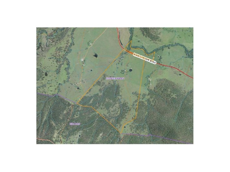 1736 Plains Station Rd, Tabulam NSW 2469