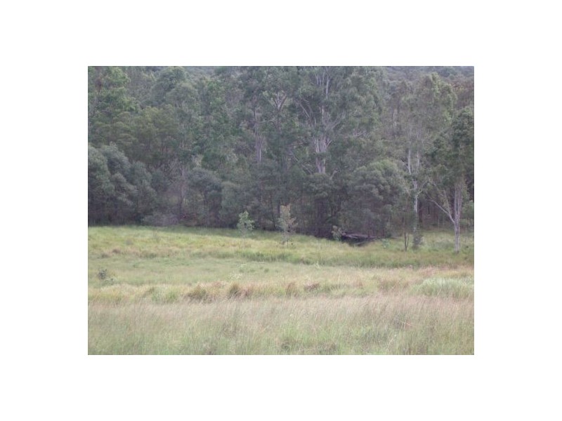1736 Plains Station Rd, Tabulam NSW 2469