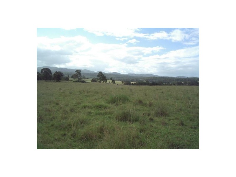 1736 Plains Station Rd, Tabulam NSW 2469