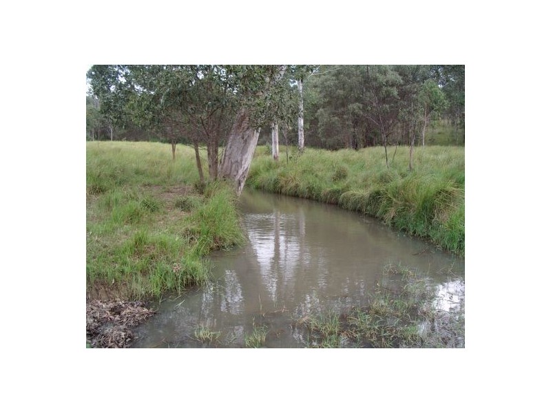 1736 Plains Station Rd, Tabulam NSW 2469