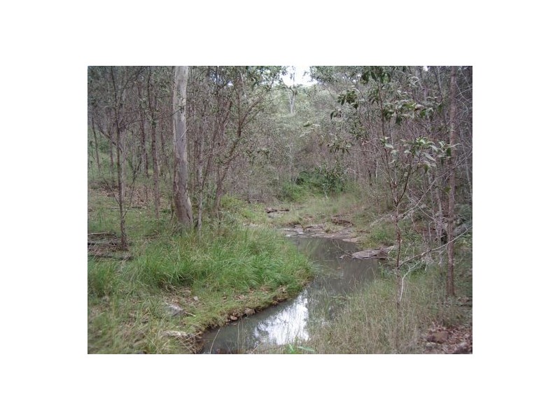 1736 Plains Station Rd, Tabulam NSW 2469