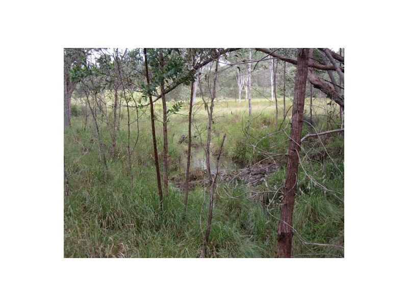 1736 Plains Station Rd, Tabulam NSW 2469