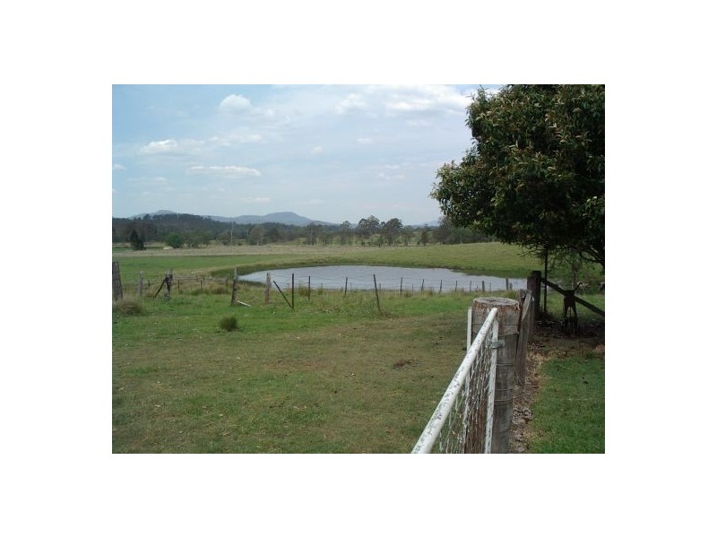 1736 Plains Station Rd, Tabulam NSW 2469