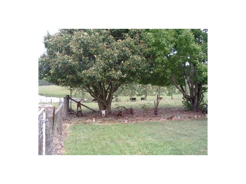 1736 Plains Station Rd, Tabulam NSW 2469