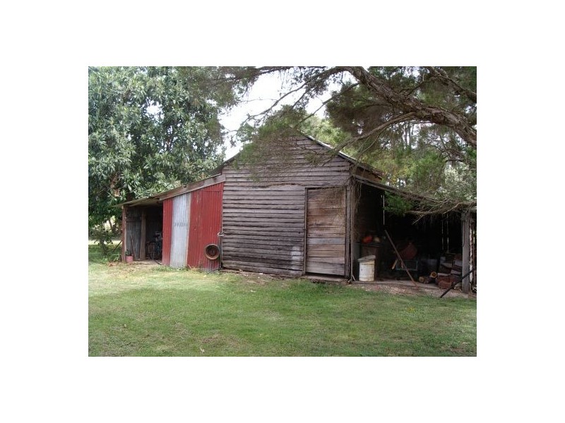 1736 Plains Station Rd, Tabulam NSW 2469