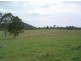 1736 Plains Station Rd, Tabulam NSW 2469