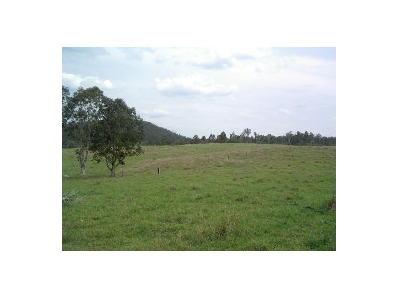 1736 Plains Station Rd, Tabulam NSW 2469