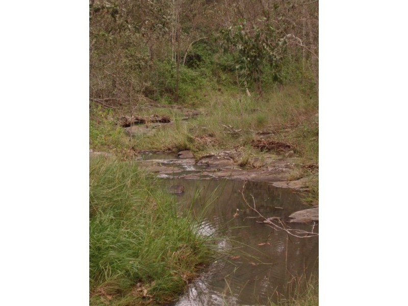 1736 Plains Station Rd, Tabulam NSW 2469