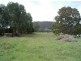 1736 Plains Station Rd, Tabulam NSW 2469