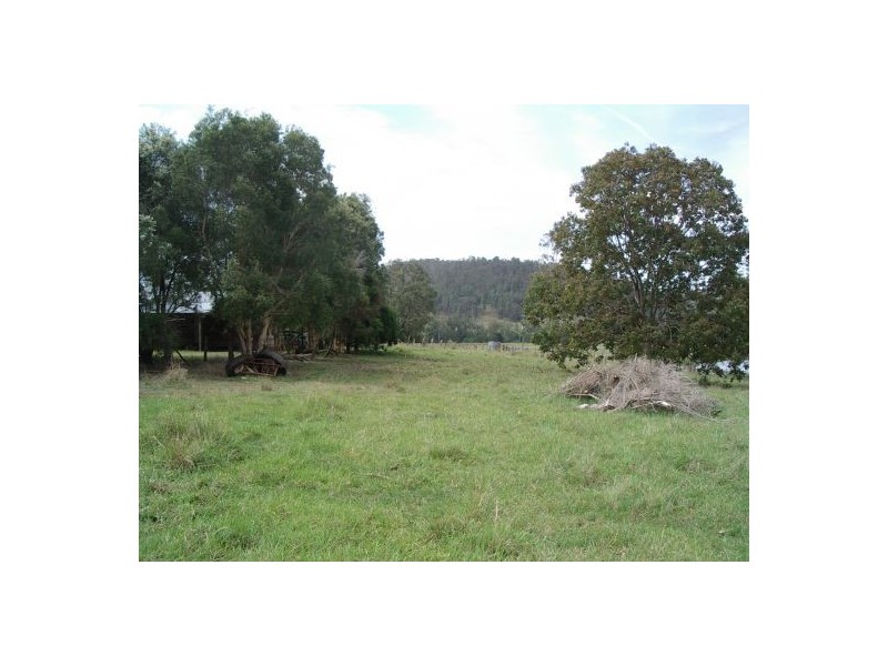 1736 Plains Station Rd, Tabulam NSW 2469