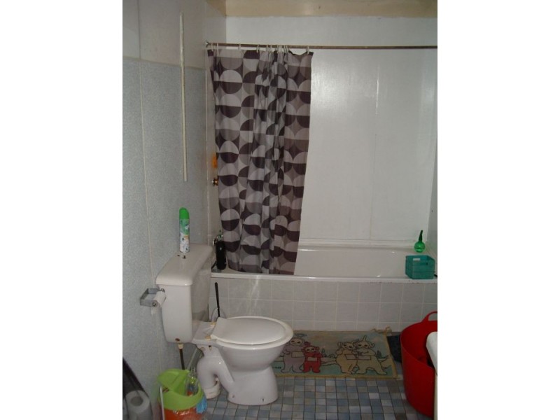 1736 Plains Station Rd, Tabulam NSW 2469