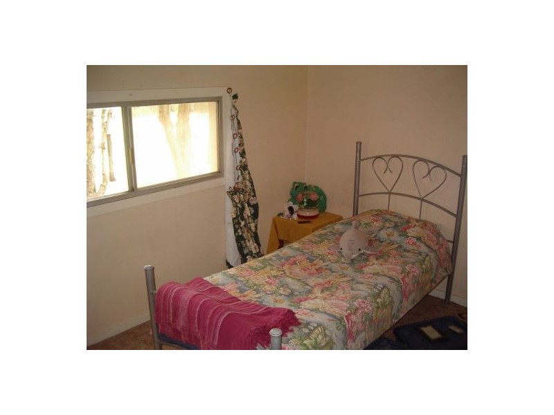 1736 Plains Station Rd, Tabulam NSW 2469