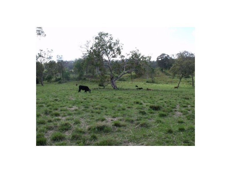 143 Bungabee Road, Bungabbee NSW 2480