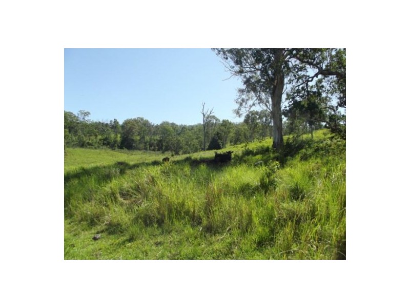 143 Bungabee Road, Bungabbee NSW 2480