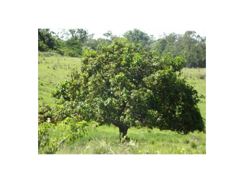 143 Bungabee Road, Bungabbee NSW 2480