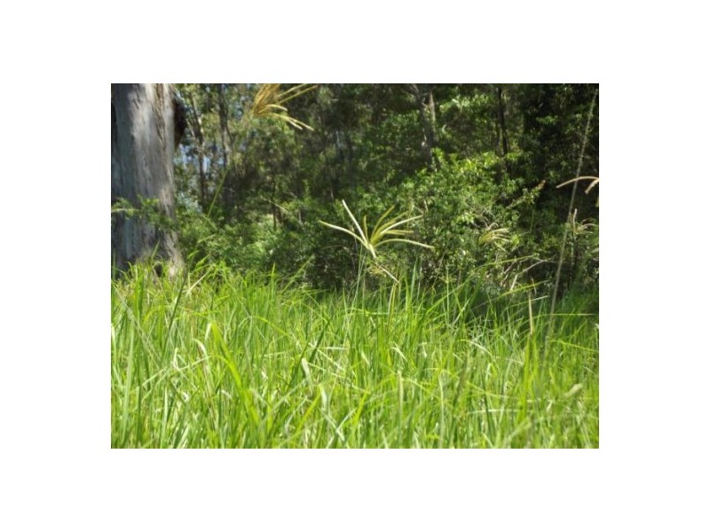 143 Bungabee Road, Bungabbee NSW 2480